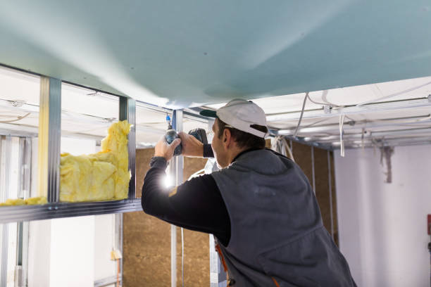 Best Spray Foam Insulation  in Ault, CO