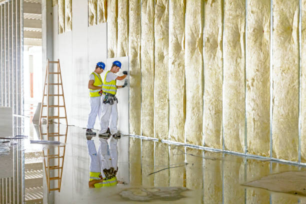 Best Garage Insulation Installation  in Ault, CO